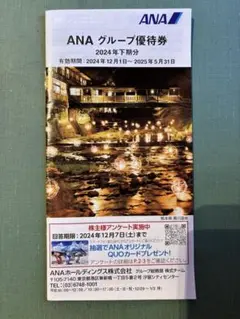 ANA グループ優待券