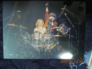 Toshl YOSHIKI ブロマイド 34 / TOSHI 龍玄とし / X JAPAN 生写真