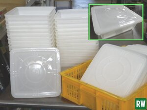 番重【31個】白 プラスチック容器 外寸幅245×奥行245×高さ83mm 内寸幅215×奥行215×深さ65mm 小型 保存容器 ポリエチレン樹脂 [2]