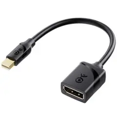 Mini DisplayPort DisplayPort 変換アダプタ #1