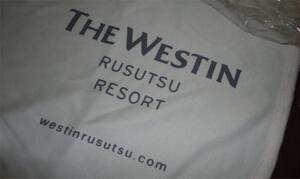 ◆ウェスティンホテル東京 ブランケット THE WESTIN HOTEL ＆RESORT セレブ 富裕層 高額納税者 結婚式 パーティー