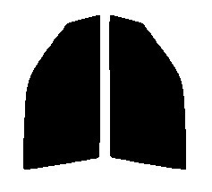 ハーフスモーク　７６％ 運転席、助手席　セドリック　ハードトップ　Y33　カット済みフィルム