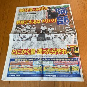 スポーツ報知 報知新聞 令和6年11月11日　巨人　ジャイアンツ 阿部慎之助　石川遼　YOASOBI STARTO 高倉健　井上先斗　ENHYPEN