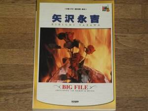 ギター弾き語り 矢沢永吉 BIG FILE ビッグ ファイル★楽譜★ドレミ楽譜出版社★絶版