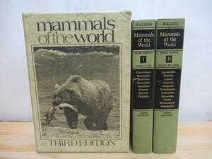 y35▼レア本！お洒落な洋書！世界の哺乳類図説 mammals of the world third edition 可愛い猿やヒグマの写真 動物写真集 210114