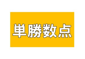 回収率１３０％の「単勝数点」　投資　競馬　副業