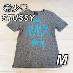 希少♡OLD STUSSY グレー　ステューシー　ヴィンテージTシャツ　M