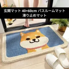 玄関マット 40×60cm バスルームマット 滑り止めマット