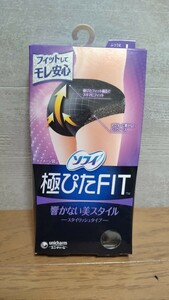 極ぴたFIT サニタリーショーツ Lサイズ