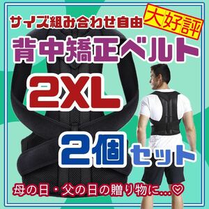 2個　2XLサイズ　背中　矯正　ベルト　腰痛改善　猫背　サポータ　介護　リモート　21