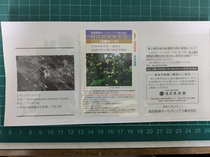 阪急阪神 株主優待　株主回数乗車証（2回）有効期限 2025年５月31日