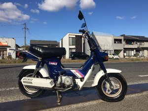 ホンダ シャリー CF50 12V 実動 書類付き キレイめ レストア 通勤通学 お買い物 4ミニ カスタムベースにも 乗って帰れそう