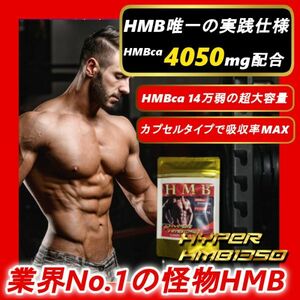 HMB量13万越えの業界トップ　ハイパーHMB　100錠 【マイプロテイン2本弱分／ビルドマッスル・メタルマッスル３袋分】arcfoxes 激安 サプリ