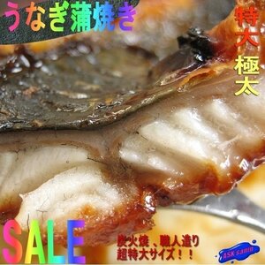 超極太「うなぎ蒲焼き5kg」特大サイズ10尾位/職人造、炭焼き