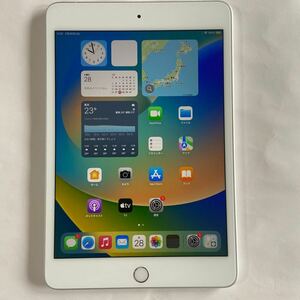 IPad Mini 5 WiFi + Cellular 256GB Silver