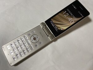 IP293 docomo SH-02L 8GB ゴールド