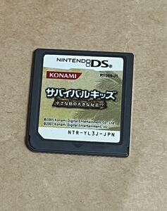 任天堂 Nintendo DS サバイバルキッズ小さな島の大きな秘密 ソフトのみ ニンテンドーDS