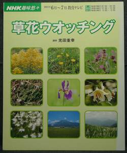 【超希少】【美品】古本　ＮＨＫ趣味悠々　草花ウオッチング　講師：光田重幸　日本放送出版協会