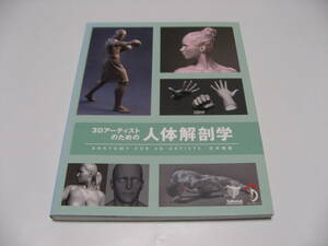 小傷み　3Dアーティストのための人体解剖学