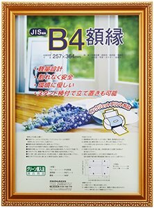 ナカバヤシ 木製軽量額縁 金ケシ B4(JIS規格) フ-KWP-36 オフィス用品