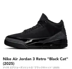 Nike Air Jordan 3 Retro "Black Cat"