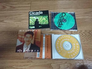 ★☆Ｓ07989　槇原 敬之（まきはら のりゆき)【Cicada】【君は僕の宝物】　CDアルバムまとめて２枚セット☆★