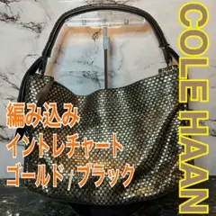 COLE HAAN コールハーン ショルダーバッグ イントレチャート 編み込み