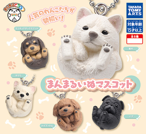 ■まんまるどうぶつ まんまるいぬマスコット 全5種セット　　【C】　　トイプードル/パグ/柴犬/ミニチュアダックスフンド/チワワ