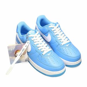 NIKE AIR FORCE 1 LOW RETRO COLOR OF THE MONTH UNIVERSITY ナイキ エアフォース1 ロー レトロ カラー オブ ザ マンスUNC DM0576-400 28.5