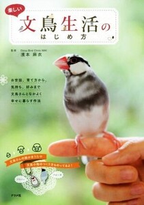 楽しい文鳥生活のはじめ方/濱本麻衣