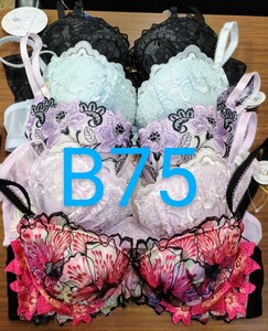 ブラジャー　B75 5枚セット