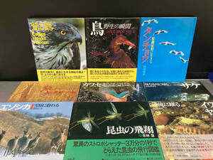 焼け傷みあり/ 平凡社 9点セット まとめ売り 鷲と鷹 宮崎学/鳥 野生の瞬間、カワセミ清流に翔ぶ 嶋田忠/跳べキタキツネ 竹田津実ほか