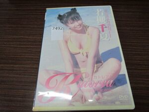 7492　DVD 若槻千夏　Katorea カトレア