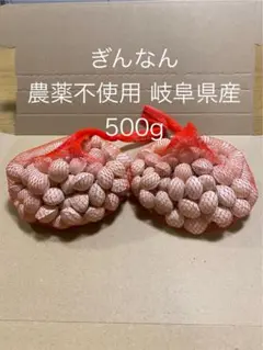 ぎんなん 500g 農薬不使用 岐阜県産