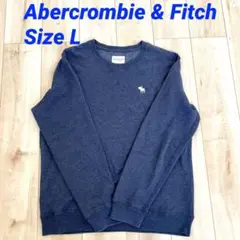 ✨古着✨Abercrombie & Fitch フリース スウェット Lサイズ