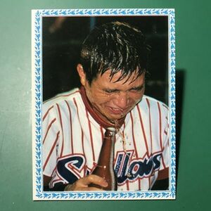 1978年　カルビー　プロ野球カード　78年　ヤクルト初優勝　29年目の栄光　角　　　【管理239】