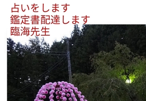 陰陽師霊視します。悩み仕事恋愛相談受付　祈祷します。鑑定書配達します。大人気成田りんかい先生