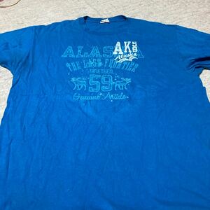 ①半袖Tシャツ DELTA Lサイズ