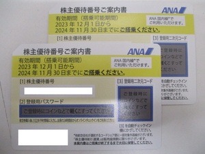 4984 ANA 株主優待券　2枚　有効期限2024年11月30日搭乗分まで