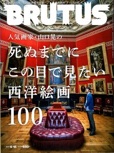 雑誌BRUTUS/ブルータス No.848(2017.6/15)★人気画家・山口晃の「死ぬまでに、この目で見たい西洋絵画100」/2つの美術館物語/すゞしろ日記