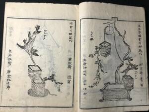 4099華道 絵入 絵本 ■挿花 伝書 四方之薫■ 未生斎広甫 江戸期 木版画 木版 版画 和本 浮世絵ukiyoe古書古文書和書古本古典籍骨董古美術