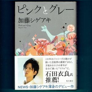 ◆送料込◆『ピンクとグレー』加藤シゲアキ（初版・元帯）◆ 映画原作 / 新刊案内付 （1）