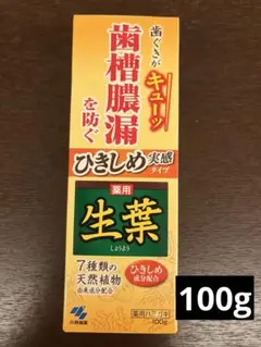 【新品・未開封】歯槽膿漏　歯磨き粉 100g ひきしめ実感タイプ　小林製薬