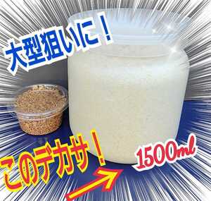 特大菌糸ボトル1500m☆ヒマラヤひらたけの初菌のみで作成！特殊アミノ酸強化配合！国産オオクワガタ85mm羽化実績☆ヒラタ、ギラファにも！