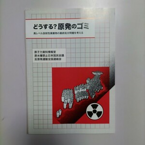 どうする？原発のゴミ 高レベル放射性廃棄物の最終処分問題を考える