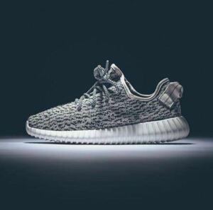 adidas アディダス イージー yeezy aq4832 タートルダブ