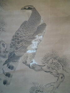 M7003 狩野常信 鳥獣画 古美術 掛け軸 肉筆 蔵出 189cm 54cm コレクターより ゆうパック 80サイズ (0206)