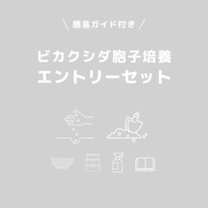 【簡易ガイド付き！】ビカクシダ胞子培養　エントリーセット