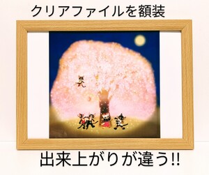 超貴重品！藤城清治＜夜桜＞　未使用クリアファイルを新品A4額装　プレゼント付き　送料無料