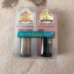 paピーエーワンダーネイルWonder Nailワンダーネイル2ステップセット